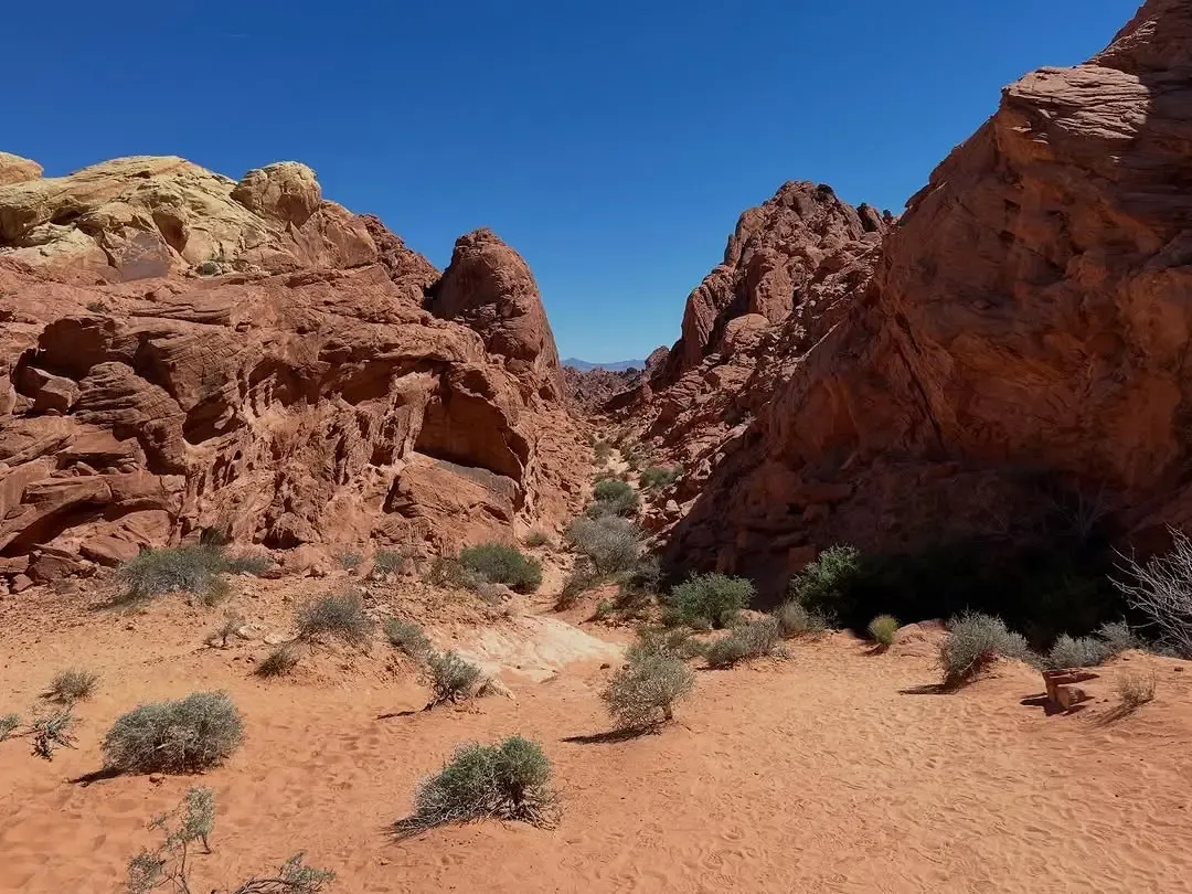 Sandy wash between red and white sandstone walls at Valley of Fire, compared with Red Rock Canyon near Las Vegas, Nevada